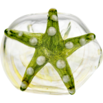 4" Element Starfish Pipe - Made in USA - Image 5
