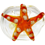 4" Element Starfish Pipe - Made in USA - Image 6