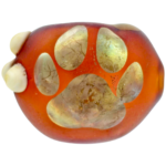 4" Element Dog Print Pipe - Made in USA - Image 4